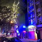 Lızzıa Butik 3* İstanbul